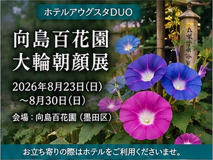 第41回 浅草サンバカーニバル パレードコンテスト